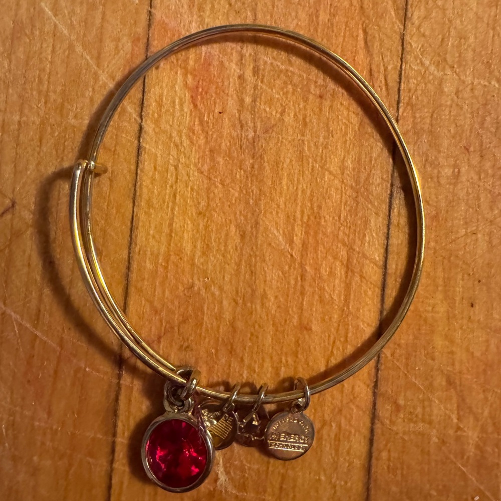 Alex and Ani Gold Bracelet with Red Charm